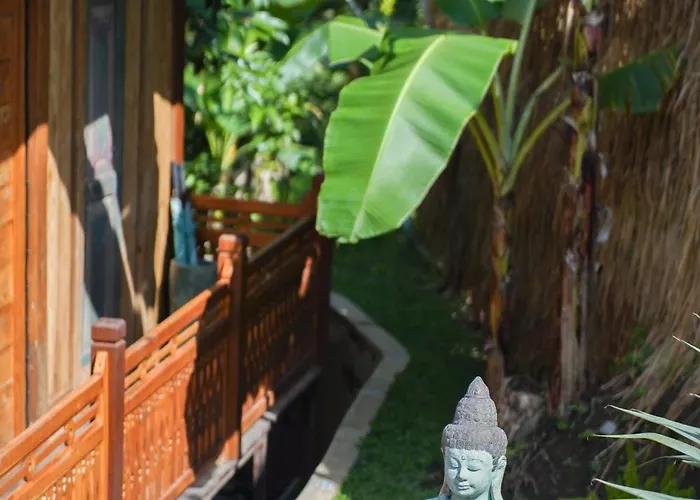 The Shala Bali 3*